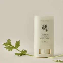 Beauty of Joseon Matte Sun Stick Mugwort + Camelia SPF50 18g