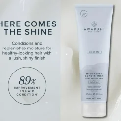 Paul Mitchell Awapuhi Wild Ginger HydraSoft Glossing Treatment 236ml